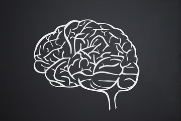 Gehirn auf Tafel