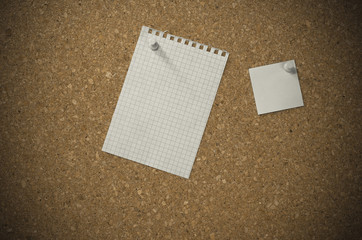 blank paper notes on a board