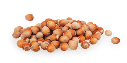 pile of hazelnuts