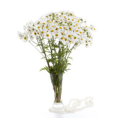 Bouquet of daisies