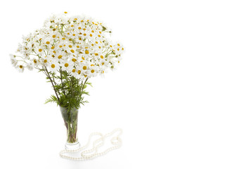 Bouquet of daisies