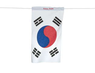 Flags for soccer championship 2014