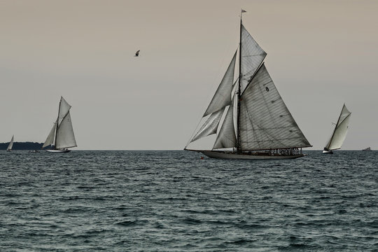 R&eacute;gate &agrave; Cannes en 2013.