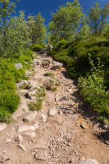 Montée sur le sentier, en montagne