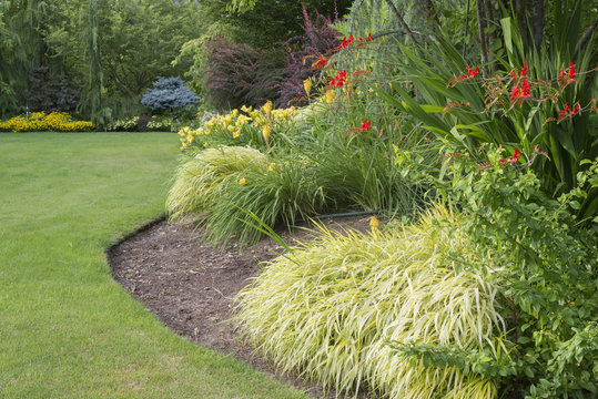 Lovely Garden