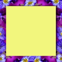 Blumenrahmen lila Hornveilchen mit Textfreiraum