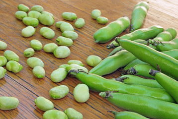 Fresh broad bean