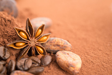 Sternanis