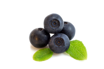 Bunch of blueberry berries isolated with leaves