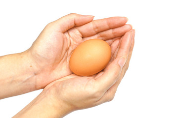 hand holding chicken egg on isolated background