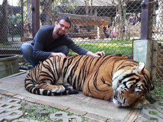 Young man cuddling live tiger