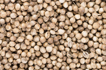 Coriander Seeds (background image)