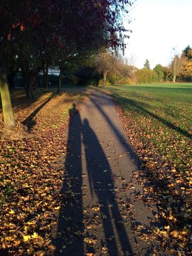 autumn sunset in Pinner