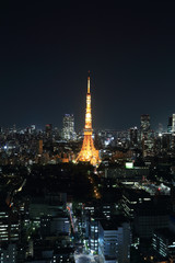 Fototapeta premium top view of Tokyo cityscape at night