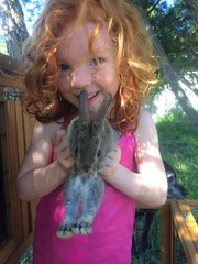 Zelfklevend Fotobehang redhead and rabbit © CreativeWarrior