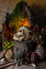 Still life with a human skull with desert plants, cactus, roses