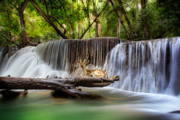 Fototapety  Huai mae kamin Waterfall