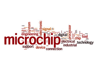 Microchip word cloud