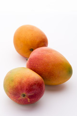 Drei Flugmangos, Mangifera indica