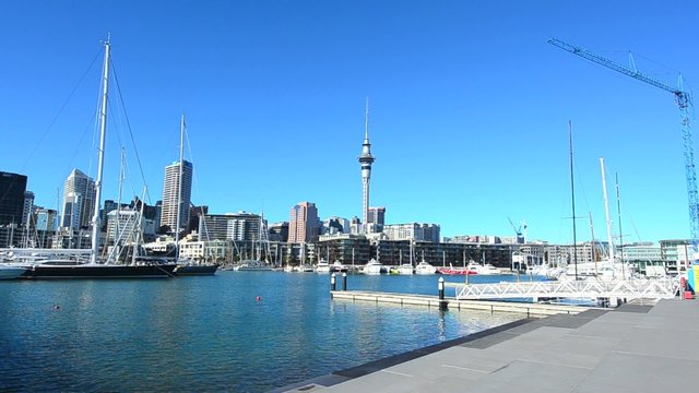 Auckland downtown skyline