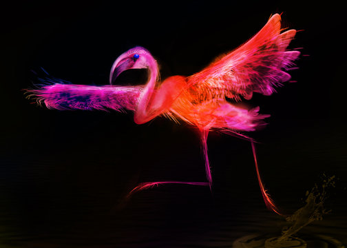 abstract bird.  Flamingo