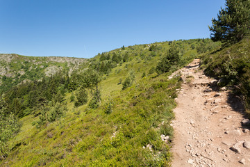 Fototapeta na wymiar Sentier en montée vers le sommet