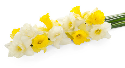 Bouquet of the fresh white and yellow narcissuses
