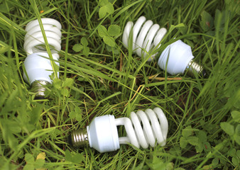 ecology and economics