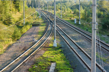 Railroad tracks in forest horizontal view