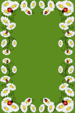 rahmen,floral,kamille,bl&uuml;te,blume,sommerwiese,gr&uuml;n