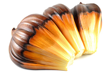 Nipa palm fruit, Nypa fruticans