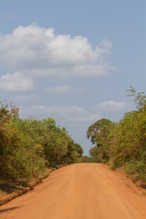 Safai in the Yala Nationalpark