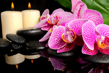 Naklejka na ściany i meble spa setting of blooming twig stripped violet orchid (phalaenopsi