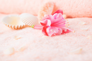 Obraz na płótnie Canvas travel concept with delicate pink flower fuchsia, seashells on t