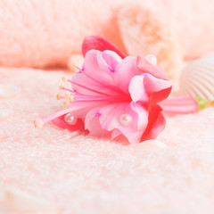 travel concept with delicate pink flower fuchsia, seashells on t