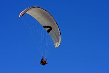 paraglider