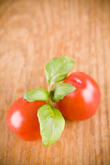 sweet little red tomatos and green basil
