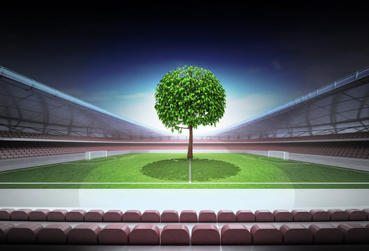 leafy tree in midfield of magic football stadium