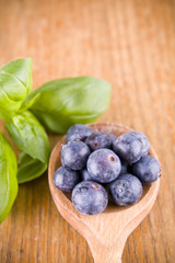 sweet blueberry
