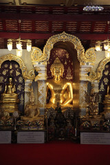 Fototapeta premium Buddha of goodness