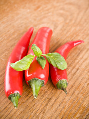red hot chili peppers with green basil