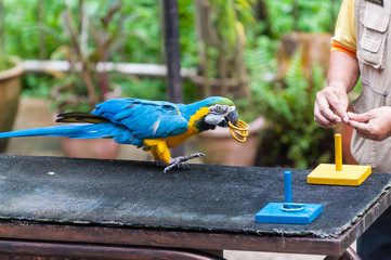 KL Bird Park © Joshua Davenport