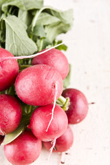 red radish