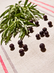 rosemary, pepper and allspice on rustic wooden table 