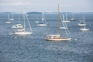 Fototapeta premium Nice Sailboats in Blue Harbor