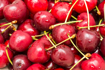 Group Of Wet And Fresh Red Cherries