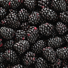 Fresh ripe blackberries