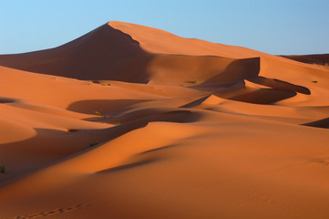 Fototapeta na wymiar Sahara Desert