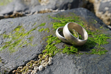 Eheringe am Meer auf grauen Steinen mit Algen und Muscheln und viel Platz für Text...