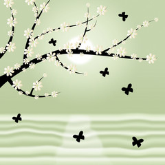 Floral Spring Means Tree Trunk And Treetop